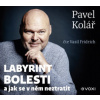 Kolář Pavel - Labyrint bolesti / Fridrich V. / MP3 [CD]