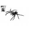Teddies Pavúk čierny 5ks plast 10x5cm v sáčku 00850744