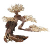 DUPLA Bonsai M -Prírodná drevená dekorácia do sladkovodného akvária 30x15x23 cm (DUPLA Bonsai M -Prírodná drevená dekorácia do sladkovodného akvária 30x15x23 cm)