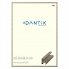 DANTIK rám na obraz 42 x 59,4 champagne