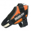 Julius-K9 IDC Postroj, s nápisom, veľkosť 2 UV Oranžová