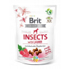 Brit Care Dog Insects with Lamb & Raspberries 200 g