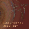 Želví sny - Karel Vepřek