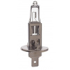 Žiarovka HELLA H1 12V 55W P14,5s
