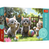 TREFL Puzzle Tri mačiatka 60 dielikov