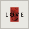 VEILS - ...AND OUT OF THE VOID CAME LOVE LP