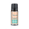 Aromaterapeutická zmes esenciálnych olejov Čistenie vzduchu Venoc 10ml Esenciálne oleje