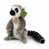 Rappa lemur 22 cm