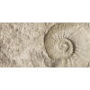 Obklad do kúpeľne mySPOTTI aqua Fossil 90x45 cm