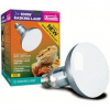 Arcadia D3 Basking Lamp 100 W 100W D3