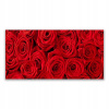 Nástenný akrylový obraz 140x70 Roses Flowers Plant (Stenový akrylový obraz)