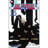 Bleach 15 - Tite Kubo