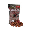 STARBAITS - Boilies Signal 24 mm 800 g