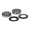 Sada - ložisko krku řízení pro Harley-Davidson 48300-60, 48184-01 od MCS
