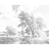 ZUTY Bodkovanie - STROMY PRI PRIEKE Rámovanie: vypnuté plátno na rám, Rozmer: 40x50 cm