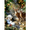 Norimpex Diamantové maľovanie Jeleň a srnka pri lesnom potoku 30 x 40 cm