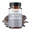 Blendea Hliva ustricová 60 kapsúl