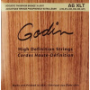 GODIN Strings Acoustic Guitar XLT