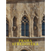 Praha středověká (Jan Royt)