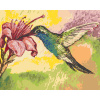 ZUTY Maľovanie podľa čísel - KOLIBRÍK A RUŽOVÉ KVETY Rámovanie: bez rámu a bez vypnutia plátna, Rozmer: 40x50 cm