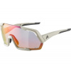Cyklistické okuliare Alpina Rocket QV cool-grey matt (4003692314499)