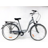 Mestsky bicykel - Storm Paris 3s Amor 28 
