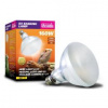 Arcadia D3 Basking Lamp 160W