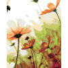 ZUTY Maľovanie podľa čísel - KVETINOVÁ LÚKA Rámovanie: vypnuté plátno na rám, Rozmer: 40x50 cm