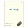 DANTIK rám na obraz 42 x 59,4 champagne