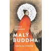 Malý Buddha: Cesta za štěstím