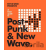 A Field Guide to Post-Punk & New Wave - Steve Wide