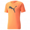 Pánske tričko PUMA individualRISE Logo Tee|L