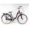 Mestsky bicykel - Storm Paris 3s Amor 28 