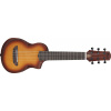Ibanez AUP10N Light Brown Sunburst