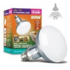 Arcadia D3 Basking Lamp 80 W 80W D3