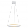 Eglo LED Závěsné osvětlení CADINARO mix barev 39896