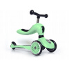 Scoot & Ride Highwaykick1 2w1 Kiwi