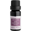 Nobilis Tilia Zmes éterických olejov Jóga balanc 10 ml