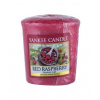 Yankee Candle Red Raspberry 49 g