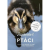 Zajímaví ptáci - Daniela Straußová