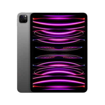 Apple iPad Pro 11 (2022) 512GB Wi-Fi + Cellular Space Gray MNYG3FD/A