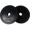 Kotouč pogumovaný TUNTURI 2,5 kg / 30 mm