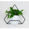 Stojan na kvety - Wall Metal Flower 38/42 cm Black Pentagon (Stojan na kvety - Wall Metal Flower 38/42 cm Black Pentagon)
