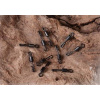 Extra Carp Obratlik Quick Change vel.12