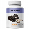Výživový doplnok MycoMedica Polyporus kapsuly 90 ks
