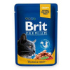 Brit Premium Cat kapsička s lososom a pstruhom 100g