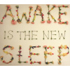 Ben Lee, AWAKE IS THE NEW SLEEP, CD