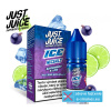 Just Juice SALT ICE Blackcurrant & Lime 10ml - 11mg e-liquid