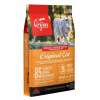 Orijen Cat & Kitten 5,4 kg