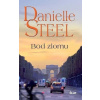 Bod zlomu - Danielle Steelová